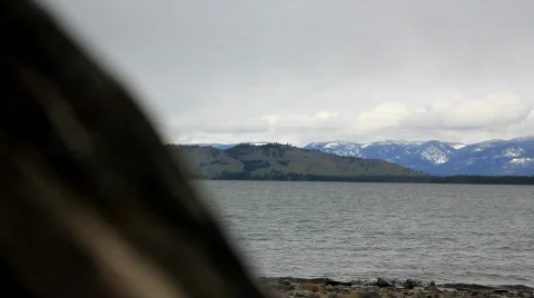 Focus waves to debris Video stock 755048