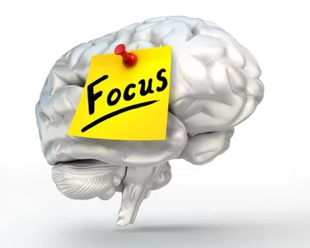 Focus word note paper on brain Stock Illustration