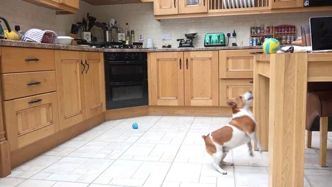 Focus on your goals. Видео 82589452