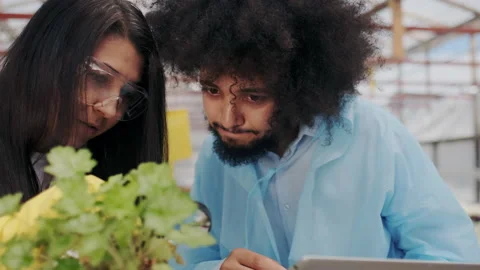 Focused and Concentrated Young Science Workers in Medicine robes Analyzing Stock Footage 148664185