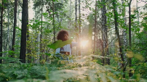 Focused Biologist or Scientist Working in Forest. Checking Trees and Plants Stock Footage 148550744