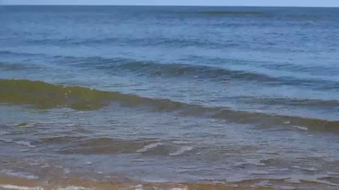 Focused coast side view Stock Footage 99118959