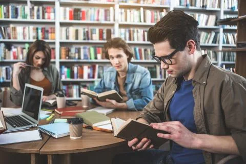 Focused comrades looking through information in athenaeum Stock Photos