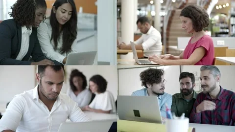 Focused confident professionals with laptops working on project Video stock 131231502