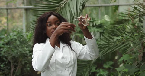 Focused Dark-skinned Biologist Beautiful African American woman. Science Stock Footage 146060889