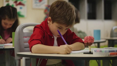 Focused elementary school pupil writing test during lesson in classroom Stock Footage 335681238