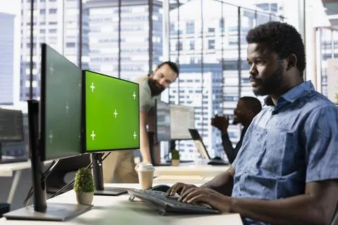 Focused employee analyzing datasets on green screen computer Foto stock