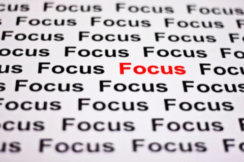 Focused On Focus Stock Photos