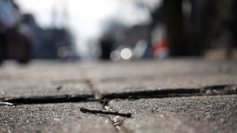 Focused Stock Footage 122486645