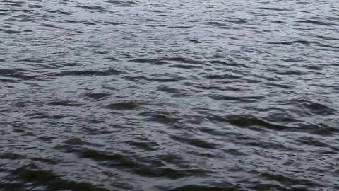 Focused footage of the River Thames Stock Footage 74376837