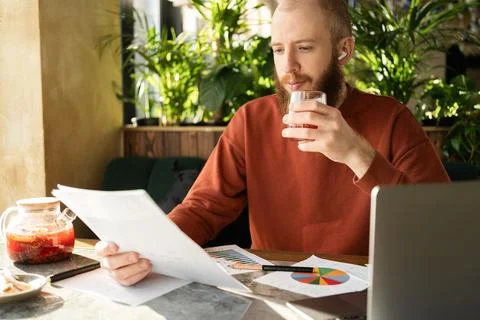 Focused freelancer analyzing business reports while enjoying herbal tea in .. Stock Photos