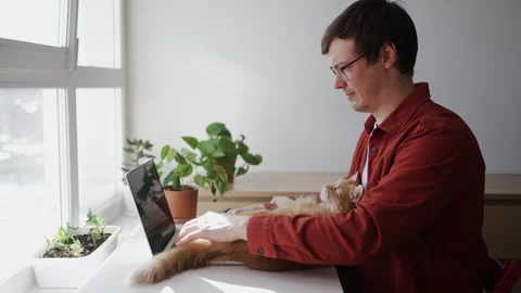 Focused freelancer typing on laptop, wearing red shirt, ginger cat napping Stock Footage 306046169