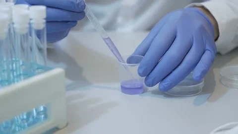 Focused life science professional working on experiment in high protection de Stock Footage 110436542