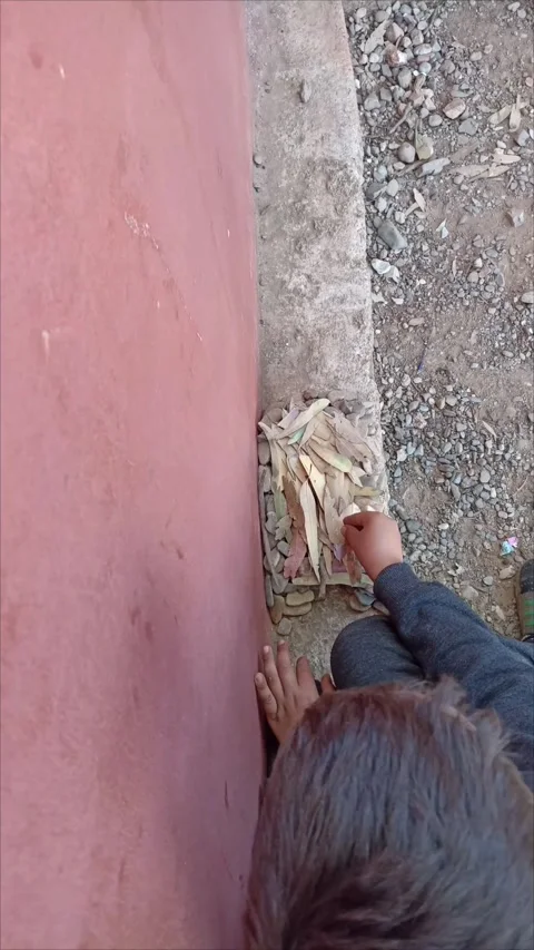 Focused Little Boy Building a Structure with Small Stones and Dry Leaves. Stock-Footage 333007372