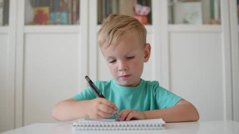 Focused little boy writing in notebook in school. Small child scribbling wi.. Vídeos de archivo 340725098