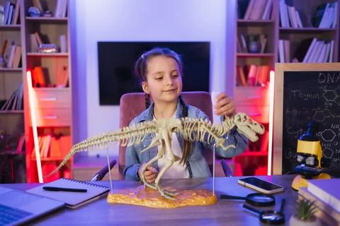 Focused little girl study fossil prehistoric animals in evening at living room. Stock Photos