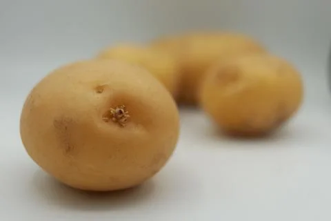 Focused macro of a single potato in the foreground with blurred yellow potatoes Stock Photos