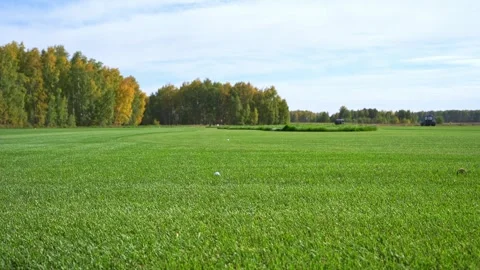 Focused man practicing golf swing on driving range with greenery in background Stock Footage 346360152