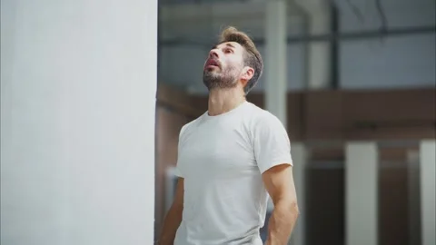 A Focused Painter Working on a Wall: Capturing the Determination and Precision Stock Footage 316065094