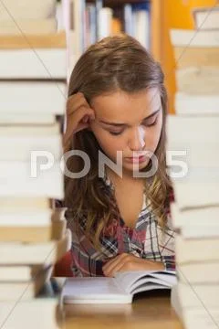 Focused pretty student studying between piles of books Stock Photos