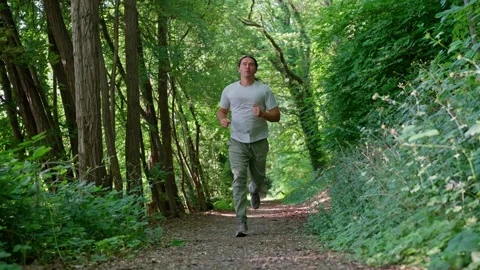 A Focused Runner is Jogging Through a Beautiful, Lush Green Forest Path Stock Footage 311448450