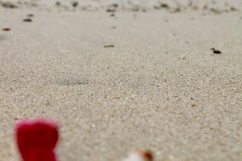 Focused Sand Texture with Softly Blurred Beach Fragments Stock Photos