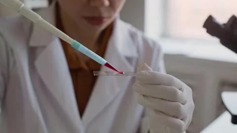Focused Scientist Pipetting Blood Sample during Medical Research in Laboratory Stock Footage 332358478