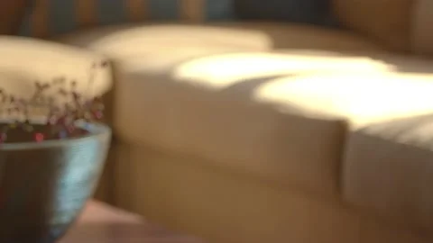 Focused Shot / Light hitting Beige Couch with Pillows / Decorative Vase  Vídeo Stock 132173109