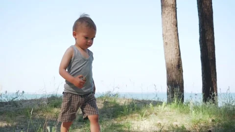 Focused Smart Toddler Boy Walking in Beach Forrest Slow Motion. Sunny and Warm  Stock Footage 133937825