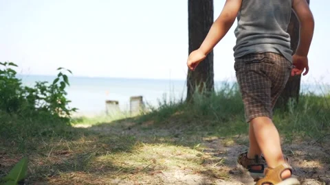 Focused Smart Toddler Boy Walking in Beach Forrest Slow Motion. Sunny and Warm  Stock Footage 133937856