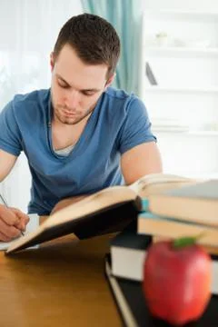Focused student working on his assignment Stock Photos