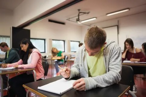 Focused students taking a test in class Stock Photos