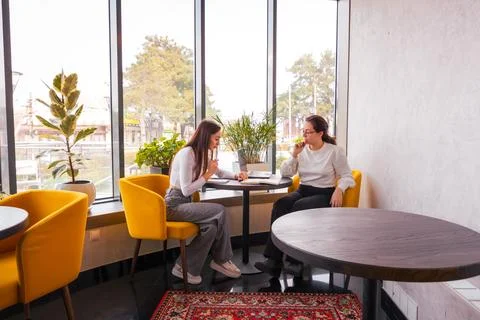 Focused talk between two elegant Caucasian women reviewing ideas in a peacefu Stock Photos