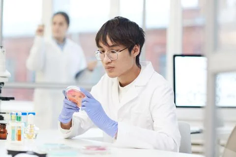 Focused on test sample in petri dish Stock Photos