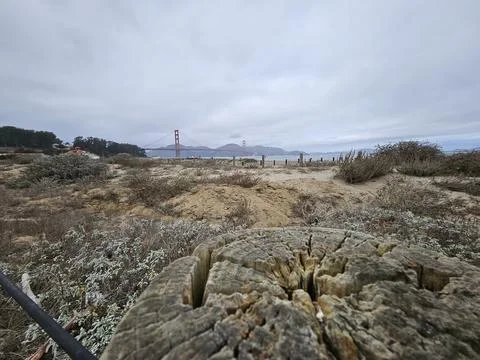 Focused View of a concrete block with a background of Golden Gate Bridge Foto stock