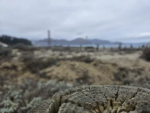 Focused View of a concrete block with a background of Golden Gate Bridge Stock Photos