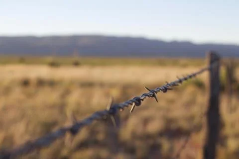 Focused in view of single barb in barbed wire Stock Photos
