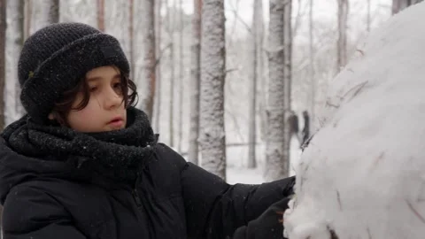 A focused young boy carefully shaping a snowman in a winter forest Stock Footage 312001143