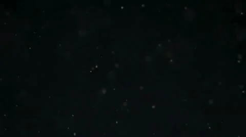 Focusing on Bubbles Video stock 9151316