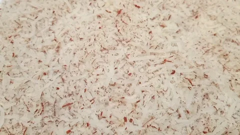 Focusing in coconut shavings full frame background, side view, close up Video stock 276612146