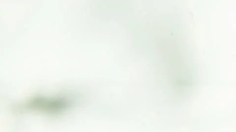 Focusing on a Dusty Web (White) Stock-Footage 65029362