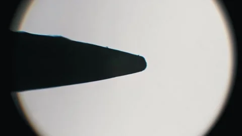 Focusing on Sewing Needle Tip Under Microscope Stock Footage 320354197