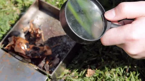 Focusing sunlight to burn leaves Stock-Footage 10899005