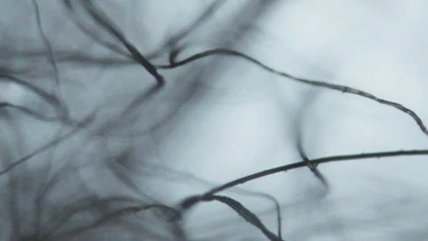 Focusing on threads with an optical microscope Stock Footage 331772169