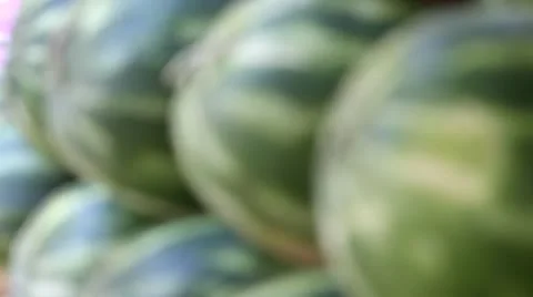 Focusing watermelons Video stock 12206306