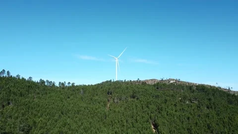Focusing a wind turbine in the calm forest on a beautiful morning. Video stock 180759754