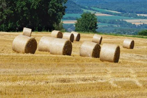 Fodder bales Stock Photos