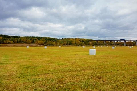 Fodder for the fall Stock Photos