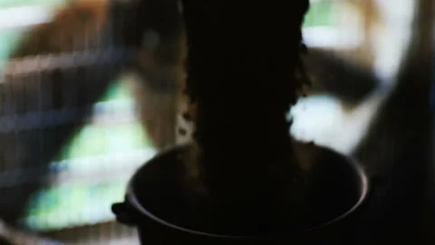 Fodder is poured into a bucket Stock-Footage 93132536