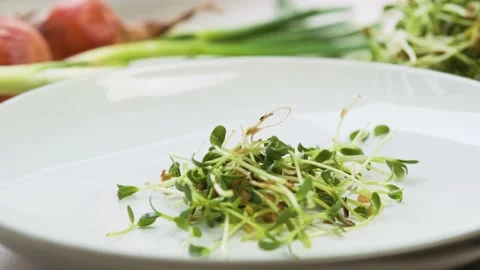 Foenum-graecum commonly called fenugreek shoots falling on the plate Stock Footage 232125914